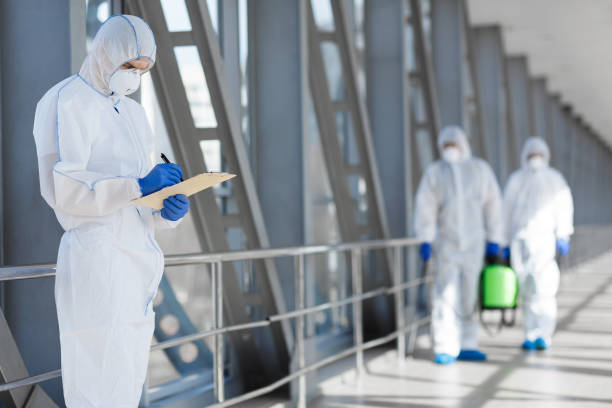 Best Black Mold Removal  in Presidential Lakes Estates, NJ