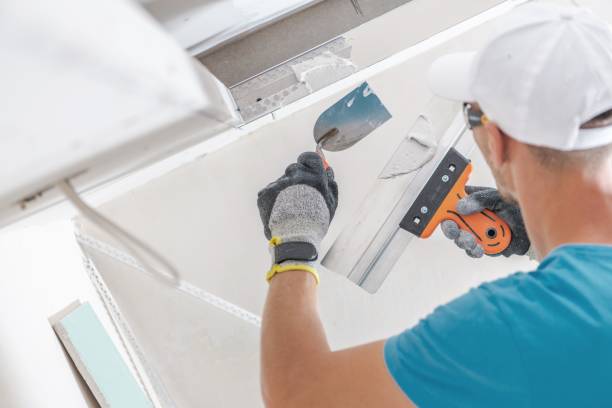 Best Air Quality Testing for Mold Spores  in Presidential Lakes Estates, NJ
